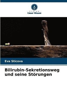 bokomslag Bilirubin-Sekretionsweg und seine Störungen