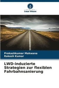 bokomslag LWD-induzierte Strategien zur flexiblen Fahrbahnsanierung