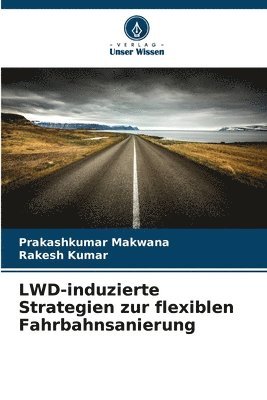 bokomslag LWD-induzierte Strategien zur flexiblen Fahrbahnsanierung
