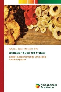 bokomslag Secador Solar de Frutas