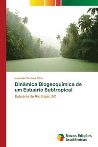 bokomslag Dinmica Biogeoqumica de um Esturio Subtropical