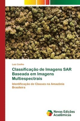 Classificao de Imagens SAR Baseada em Imagens Multiespectrais 1