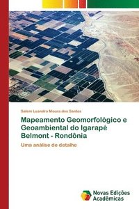 bokomslag Mapeamento Geomorfolgico e Geoambiental do Igarap Belmont - Rondnia