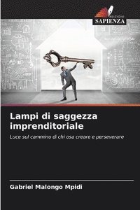 bokomslag Lampi di saggezza imprenditoriale
