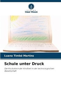 bokomslag Schule unter Druck