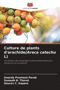 bokomslag Culture de plants d'arachide(Areca catechu L)