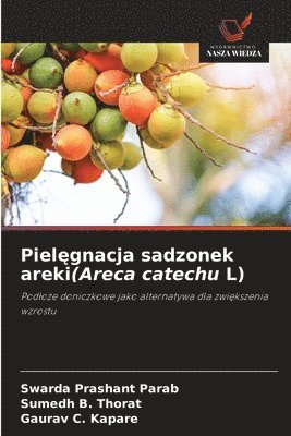 Pielęgnacja sadzonek areki(Areca catechu L)