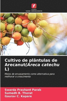 Cultivo de plântulas de Arecanut(Areca catechu L)