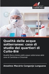 bokomslag Qualità delle acque sotterranee: caso di studio dei quartieri di Cuito-Bié