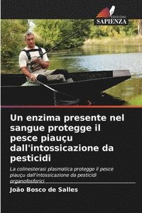 bokomslag Un enzima presente nel sangue protegge il pesce piauçu dall'intossicazione da pesticidi