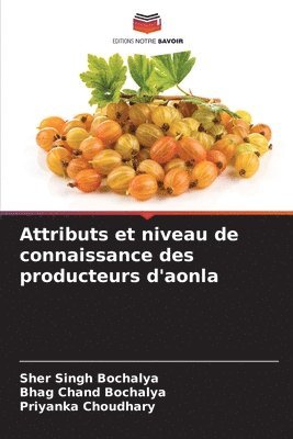 bokomslag Attributs et niveau de connaissance des producteurs d'aonla