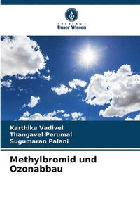 bokomslag Methylbromid und Ozonabbau