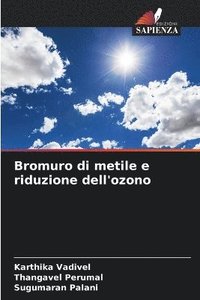 bokomslag Bromuro di metile e riduzione dell'ozono