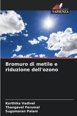 bokomslag Bromuro di metile e riduzione dell'ozono