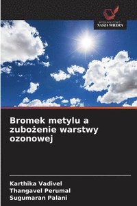 bokomslag Bromek metylu a zubo?enie warstwy ozonowej