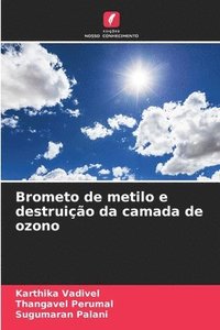 bokomslag Brometo de metilo e destruição da camada de ozono