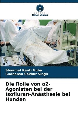 Rolle von α2-Agonisten bei der Isofluran-Anästhesie bei Hunden