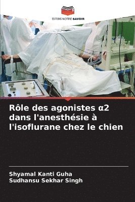 Rôle des agonistes α2 dans l'anesthésie à l'isoflurane chez le chien