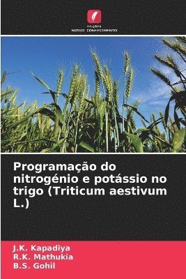 Programação do nitrogénio e potássio no trigo (Triticum aestivum L.)