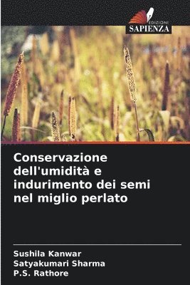 Conservazione dell'umidità e indurimento dei semi nel miglio perlato