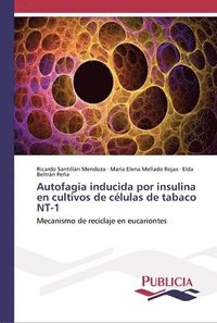 bokomslag Autofagia inducida por insulina en cultivos de celulas de tabaco NT-1