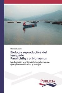 bokomslag Biologia reproductiva del lenguado Paralichthys orbignyanus