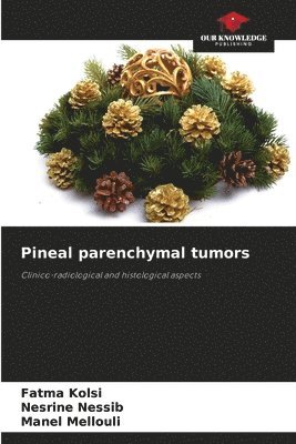 Fatma Kolsi, Nesrine Nessib, Manel Mellouli - Pineal parenchymal tumors, Häftad