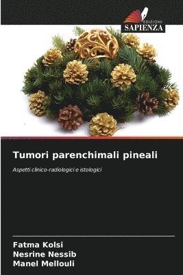 Fatma Kolsi, Nesrine Nessib, Manel Mellouli - Tumori parenchimali pineali, Häftad