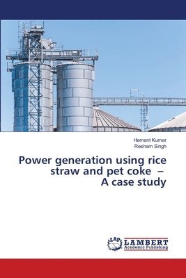Hemant Kumar, Resham Singh - Power generation using rice straw and pet coke - A case study, Häftad