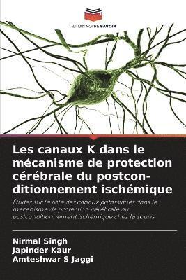 Les canaux K dans le mécanisme de protection cérébrale du postcon-ditionnement ischémique