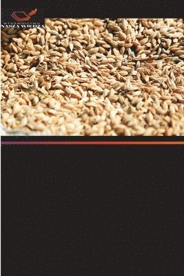 Amber Fatima, Marium LaTeef, Marium Lateef - Badanie warunków bezpieczeństwa i higieny pracy w mlynie ryżowym, Häftad