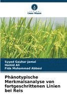 bokomslag Phänotypische Merkmalsanalyse von fortgeschrittenen Linien bei Reis