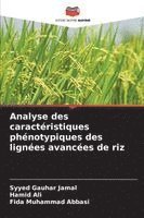 bokomslag Analyse des caractéristiques phénotypiques des lignées avancées de riz