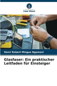 bokomslag Glasfaser: Ein praktischer Leitfaden für Einsteiger