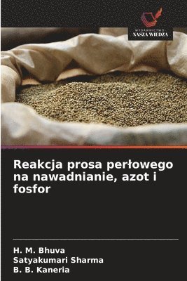 Reakcja prosa perlowego na nawadnianie, azot i fosfor