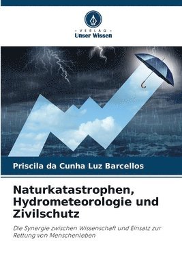 bokomslag Naturkatastrophen, Hydrometeorologie und Zivilschutz