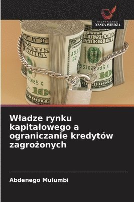 Abdenego Mulumbi - Wladze rynku kapitalowego a ograniczanie kredytów zagrożonych, Häftad