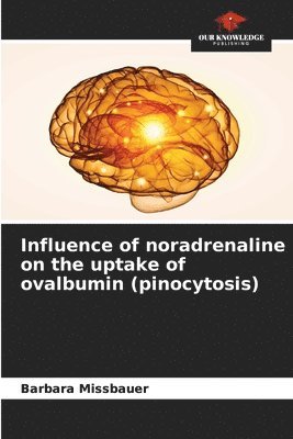 bokomslag Influence of noradrenaline on the uptake of ovalbumin (pinocytosis)