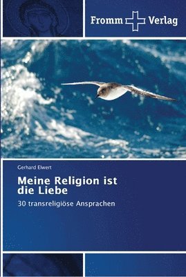 bokomslag Meine Religion ist die Liebe