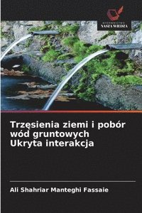 bokomslag Trz¿sienia ziemi i pobór wód gruntowych Ukryta interakcja