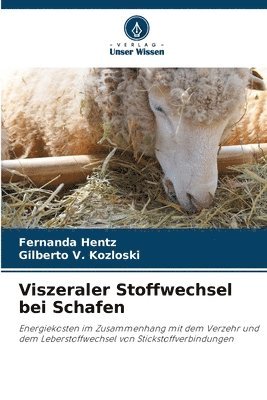 bokomslag Viszeraler Stoffwechsel bei Schafen