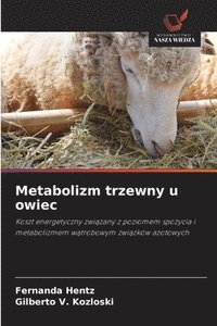 bokomslag Metabolizm trzewny u owiec