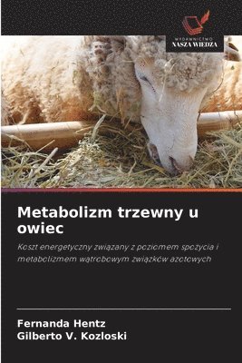bokomslag Metabolizm trzewny u owiec