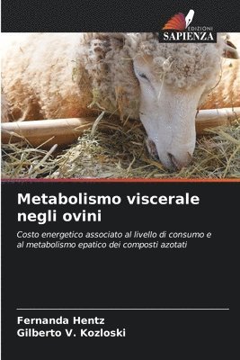 bokomslag Metabolismo viscerale negli ovini