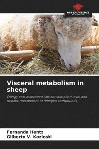bokomslag Visceral metabolism in sheep