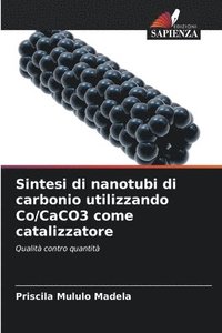 bokomslag Sintesi di nanotubi di carbonio utilizzando Co/CaCO3 come catalizzatore