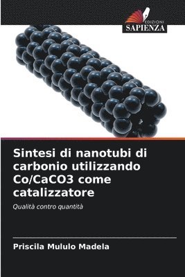 bokomslag Sintesi di nanotubi di carbonio utilizzando Co/CaCO3 come catalizzatore
