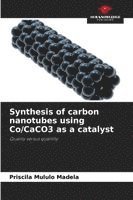bokomslag Synthesis of carbon nanotubes using Co/CaCO3 as a catalyst
