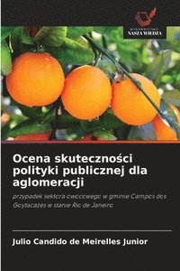 bokomslag Ocena skuteczno?ci polityki publicznej dla aglomeracji