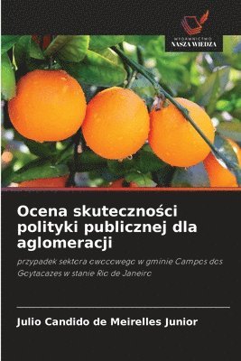 bokomslag Ocena skuteczno?ci polityki publicznej dla aglomeracji